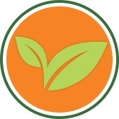 Third Quarter Newsletter Now Available! 