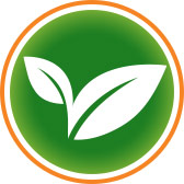 Q4 Newsletter Now Available 